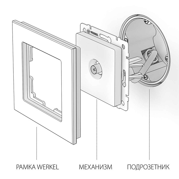 ТВ-розетка оконечная Werkel шампань рифленый W1183010 4690389160639 изображение 3 ТВ-розетка оконечная Werkel шампань рифленый W1183010 4690389160639 Фото № 3
