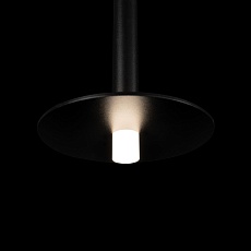 Подвесной светодиодный светильник Loft IT Reed 10358/830 Disk 2