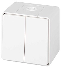Выключатель ЭРА Эксперт 11-1504-01 двойной IP55 10АХ-250В ОУ белый Б0063257