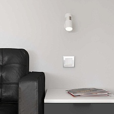 Рамка Werkel Baguette на 1 пост белый/серебро W0012850 4690389185724 4