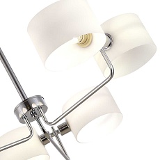 Потолочная люстра Evoluce Aerin SLE1121-102-06 2