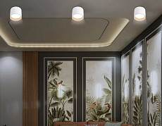 Светильник накладной Ambrella Light TN5304 2