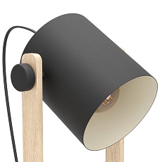 Торшер Eglo Hornwood 43521 2