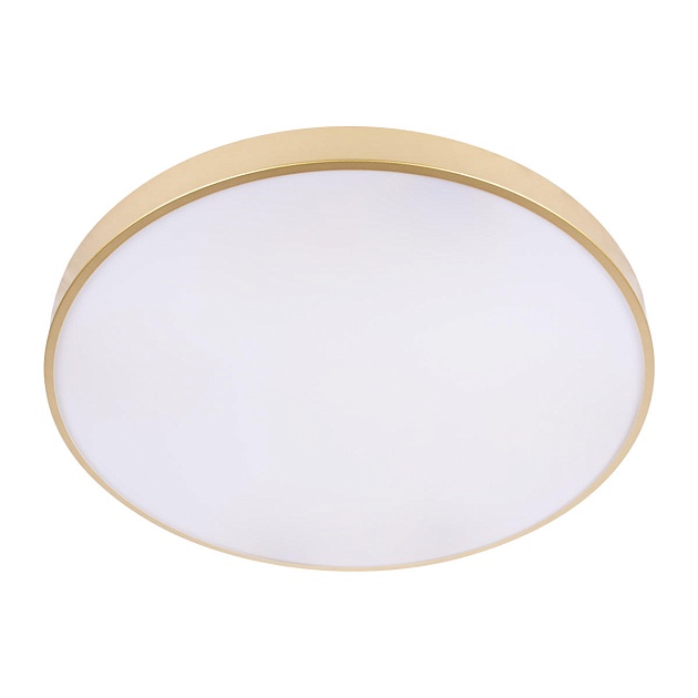 Потолочный светодиодный светильник Loft IT Flims 10228/B Фото № 3