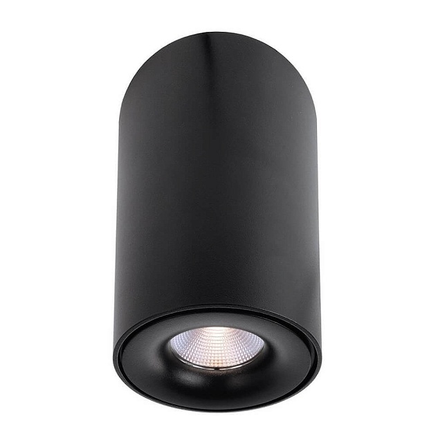 Накладной светильник Deko-Light Bengala LED 348030 Фото № 1