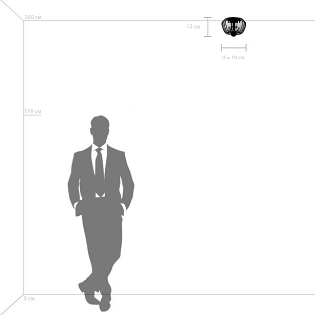 Потолочный светильник Lightstar Celesta 809003 изображение 4 Потолочный светильник Lightstar Celesta 809003 Фото № 4