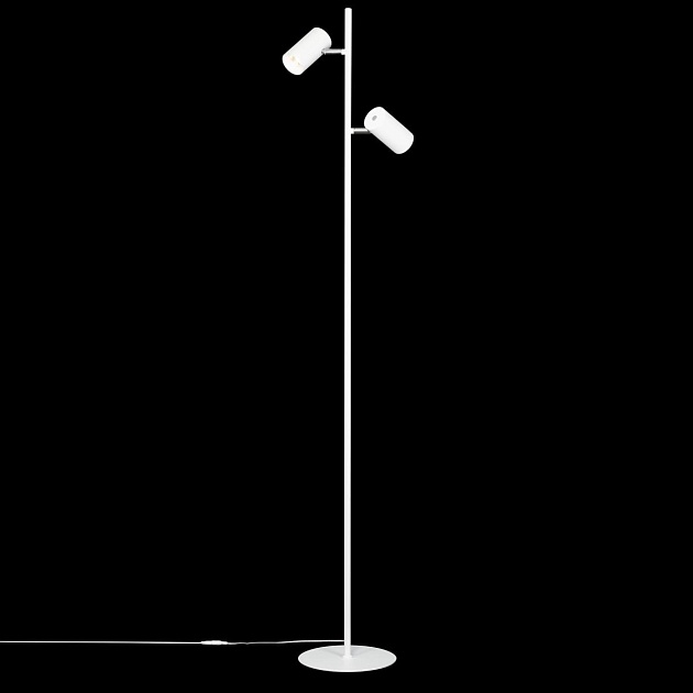 Торшер Citilux CL809010N Фото № 4
