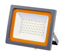 Прожектор светодиодный Jazzway PFL-SC 50W 3000K 5010079 1