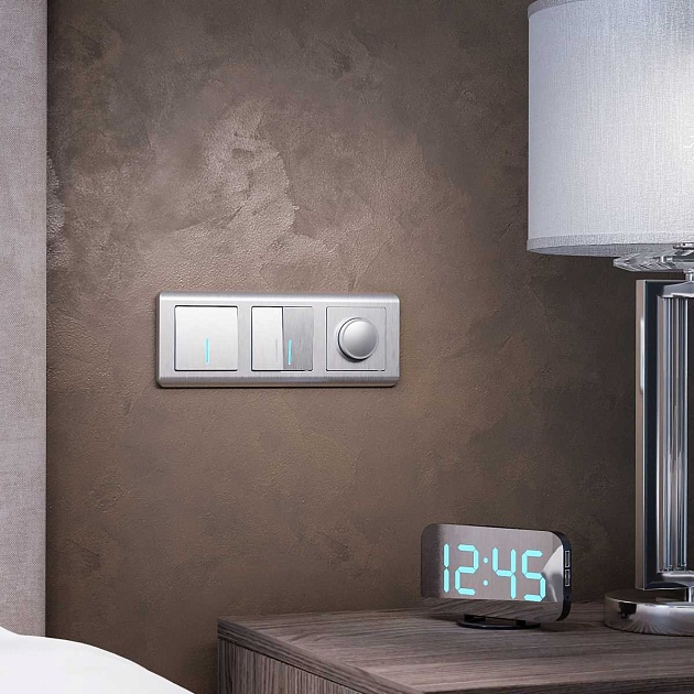 Диммер Werkel cеребряный рифленый W1142009 4690389159664 Фото № 2