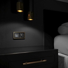 Рамка Werkel Baguette на 2 поста черный/латунь W0022852 4690389185786 1