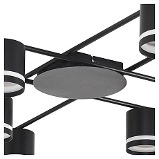 Потолочная люстра Lumion Berty Comfi 8362/8C 2