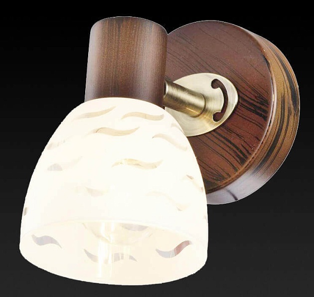 Спот Toplight Shayla TL3730Y-01BB изображение 3 Спот Toplight Shayla TL3730Y-01BB Фото № 3