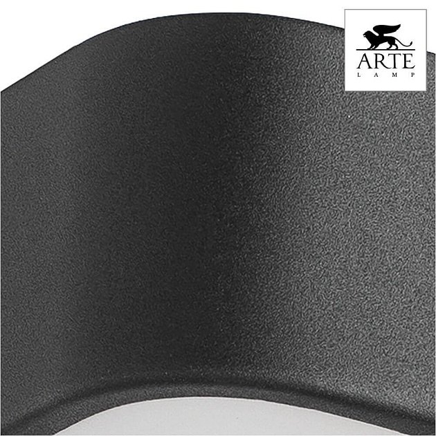 Потолочный светильник Arte Lamp Cosmopolitan A7210PL-2BK Фото № 2