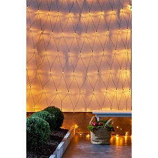 Светодиодная гирлянда Eglo GOLDEN WARM WHITE 411524 1