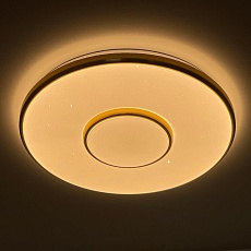 Потолочный светодиодный светильник Profit Light 2096/300 WH+CR 2