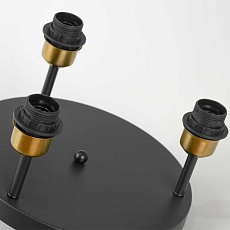 Люстра потолочная Lussole MITCHEL LSP-8996 4