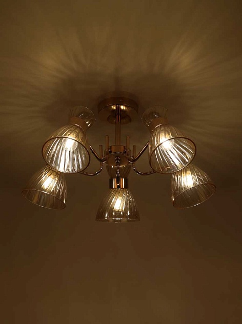 Потолочная люстра Rivoli Victoria 9183-305 Б0069944 изображение 7 Потолочная люстра Rivoli Victoria 9183-305 Б0069944 Фото № 7