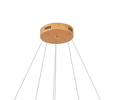 Подвесная светодиодная люстра Zortes RINGOLIGHT ZRS.33320.63C 2