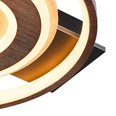 Потолочный светодиодный светильник F-Promo Labrea 4699-1C 1