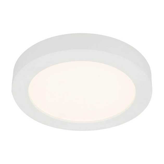 Потолочный светодиодный светильник Globo Paula 41605-22 изображение 1 Потолочный светодиодный светильник Globo Paula 41605-22 Фото № 1