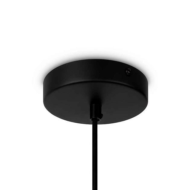 Подвесной светильник Maytoni Roots MOD195PL-01W1 Фото № 5