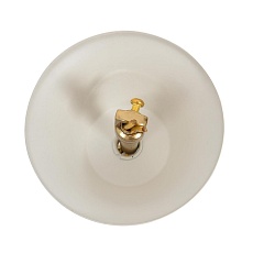 Люстра Lumion MITRIM 8374/6 3