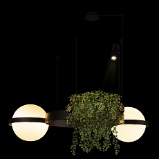Подвесной светодиодный светильник Loft IT Jardin 10121/2 3