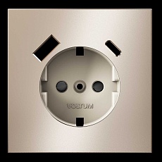 Накладка для розетки с заземлением и защитными шторками, с USB A+C, S70 Metal (платина) Voltum VLSM001010 2