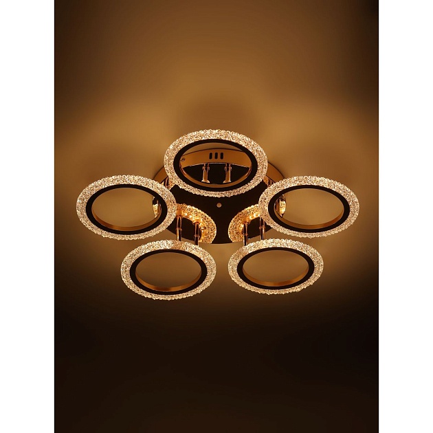 Потолочная светодиодная люстра Rivoli Evlalia 6178-733 Б0068423 Фото № 7