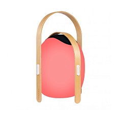 Настольная лампа iLedex Giggle OVS1100-CH WH 2