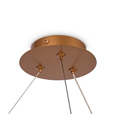 Подвесная люстра Maytoni Balance MOD317PL-06G 2