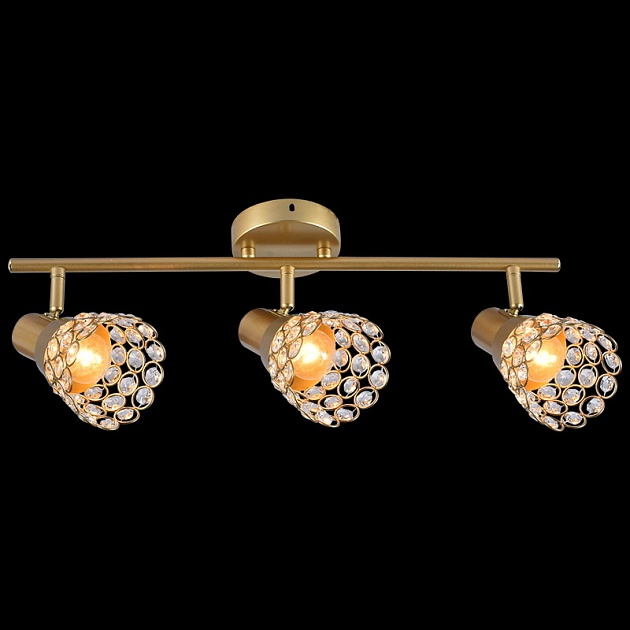 Спот Reluce 05954-0.8-03 GOLD Фото № 1