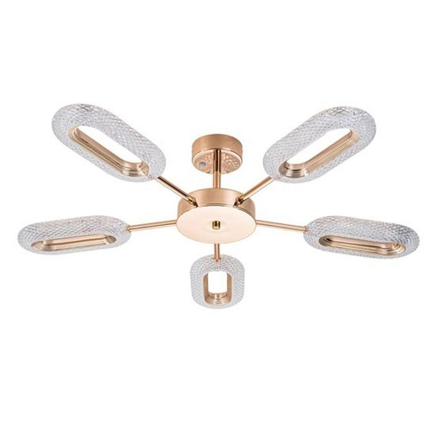 Потолочная светодиодная люстра Arte Lamp Ovale A2489PL-5GO Фото № 1