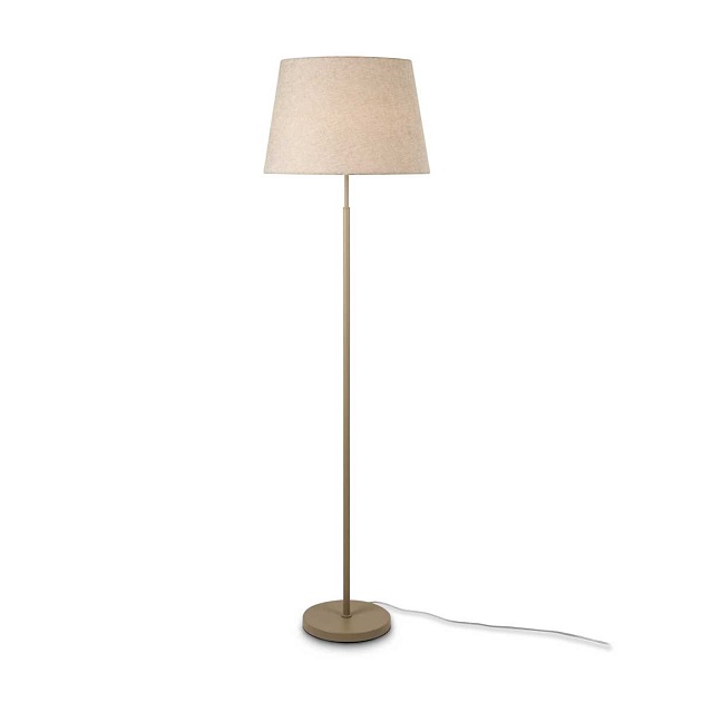 Торшер Freya FR2057FL-01BG Фото № 1