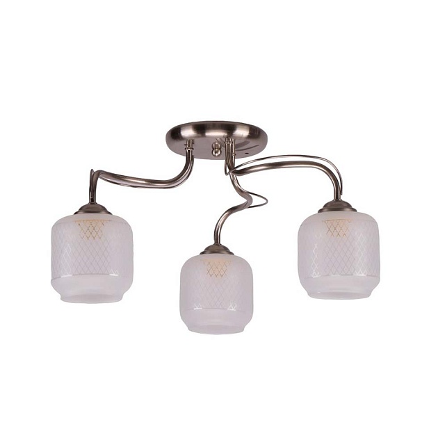 Потолочная люстра ЭкономСвет 10041/3SN WT изображение 1 Потолочная люстра ЭкономСвет 10041/3SN WT Фото № 1