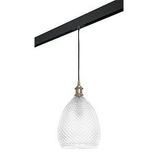 Комплект с трековым светильником Lightstar Genni (798021+595007) PRO798021