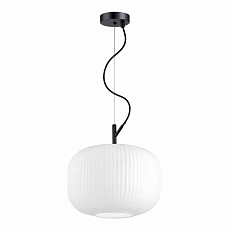 Подвесной светильник Odeon Light Pendant Roofi 4754/1 3