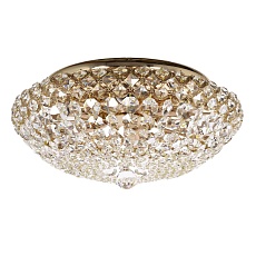 Потолочный светильник Arti Lampadari Asti E 1.2.40.100 G