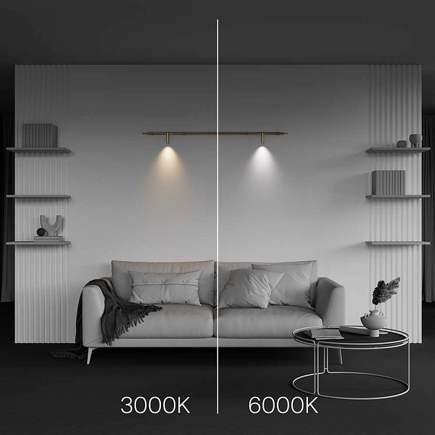 Светильник Maytoni Technical C102CL-3W3-6K-BS Фото № 3