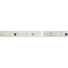 Светодиодная влагозащищенная лента Arlight 8W/m 54LED/m 5060SMD холодный белый 50M ARL-PV-B54-15.5mm 230V White6000 027056(2) 1