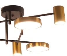 Потолочная светодиодная люстра Kink Light Рапис 07645-6D,19(20) 3