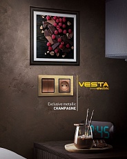 Рамка 2-постовая Vesta-Electric Exclusive Silver Champagne шампань FRM050201BSH 1