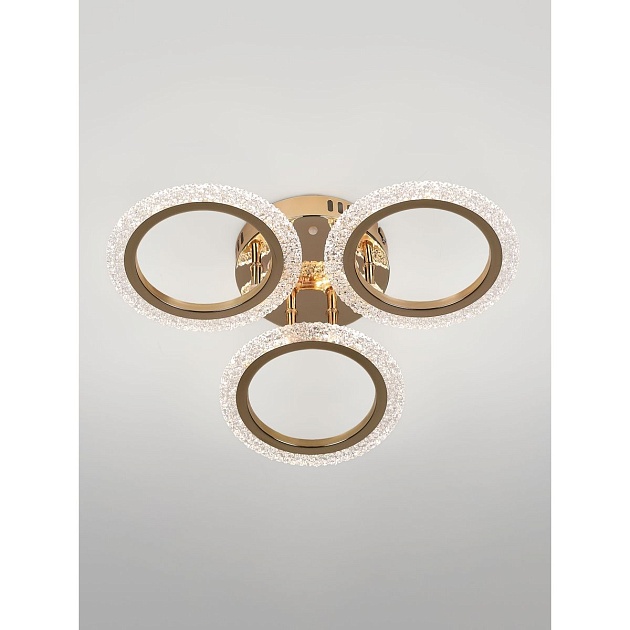 Потолочная светодиодная люстра Rivoli Evlalia 6178-703 Б0068399 Фото № 12