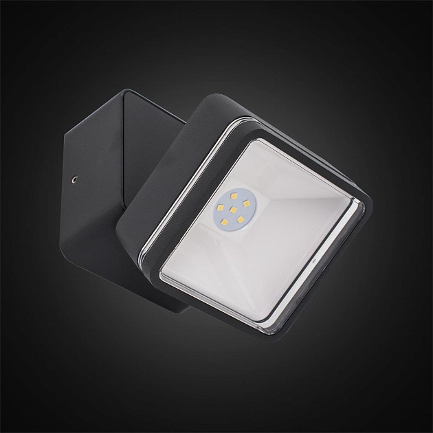 Уличный настенный светодиодный светильник Citilux CLU0008K Фото № 12