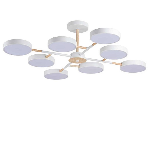 Потолочная люстра Lumion BRAD 5653/99CL изображение 1 Потолочная люстра Lumion BRAD 5653/99CL Фото № 1