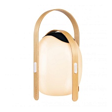 Настольная лампа iLedex Giggle OVS1100-CH WH 5