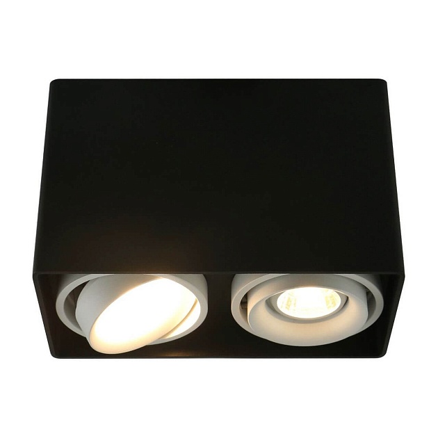 Потолочный светильник Arte Lamp A5655PL-2BK изображение 1 Потолочный светильник Arte Lamp A5655PL-2BK Фото № 1