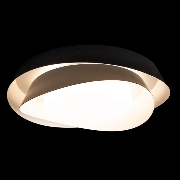 Потолочный светильник Loft IT Petale 10256 Black изображение 6 Потолочный светильник Loft IT Petale 10256 Black Фото № 6