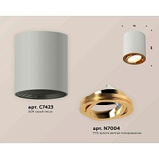 Комплект накладного светильника Ambrella light Techno Spot XS7423022 SGR/PYG серый песок/золото желтое полированное (C7423, N7004) 1