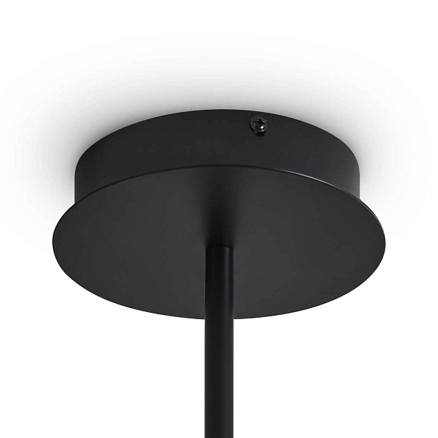 Потолочный светильник Freya FR5541CL-L30B Фото № 11